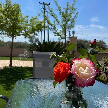 Holiday home Palma