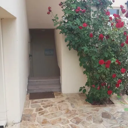 Palma *